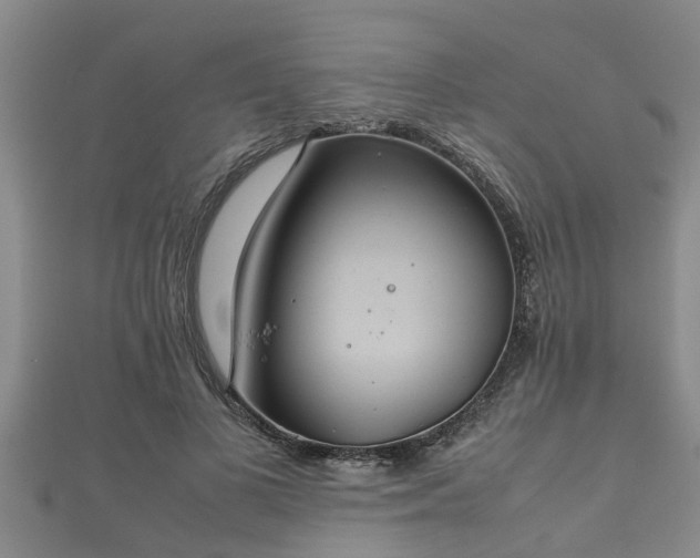 X0000112400693200908211116