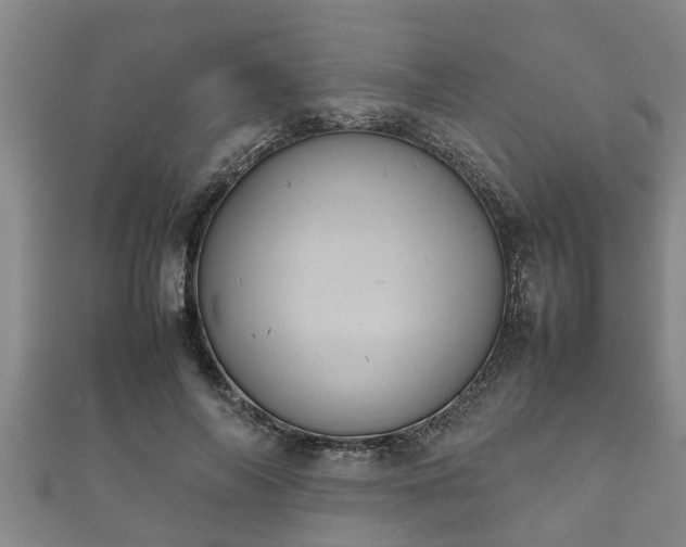 X0000112400694200908211116
