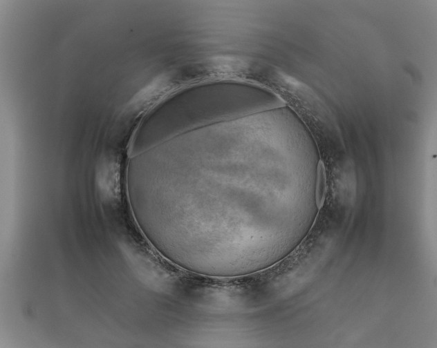 X0000112400696200908211116