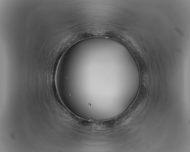 X0000112400697200908211116