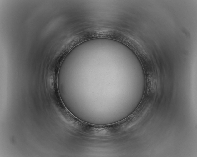 X0000112400698200908211116
