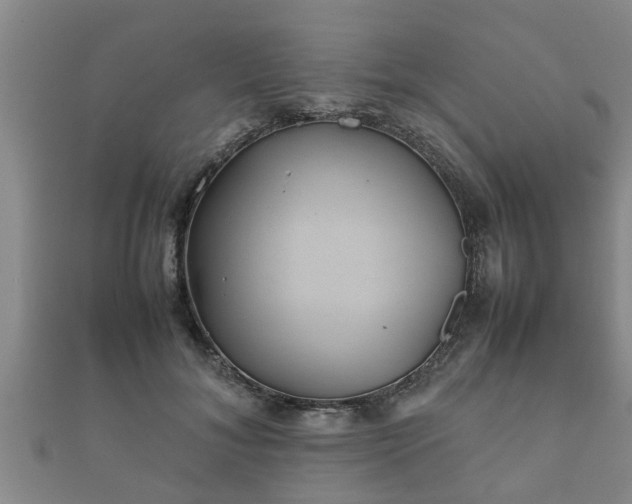 X0000112400700200908211116