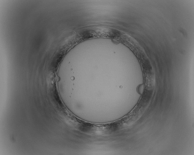 X0000112400701200908211116