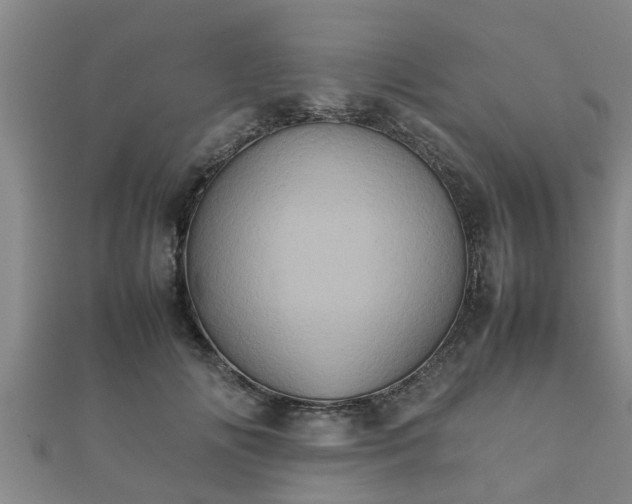 X0000112400702200908211116