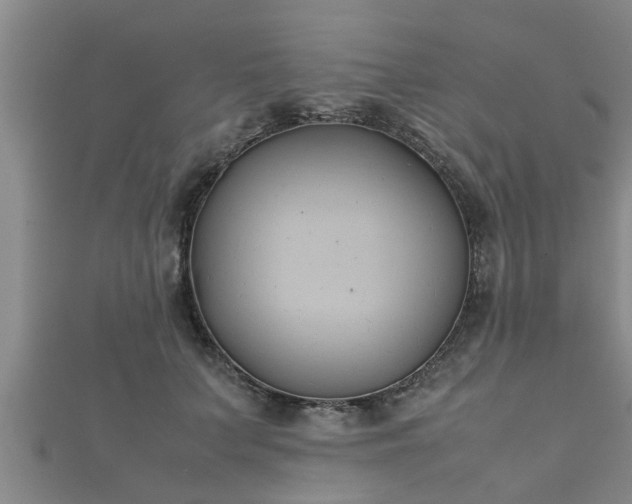 X0000112400703200908211116