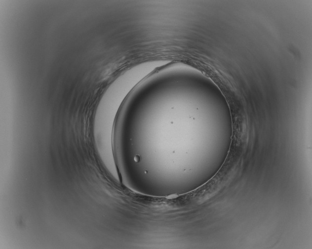 X0000112400704200908211116