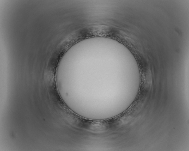 X0000112400705200908211116