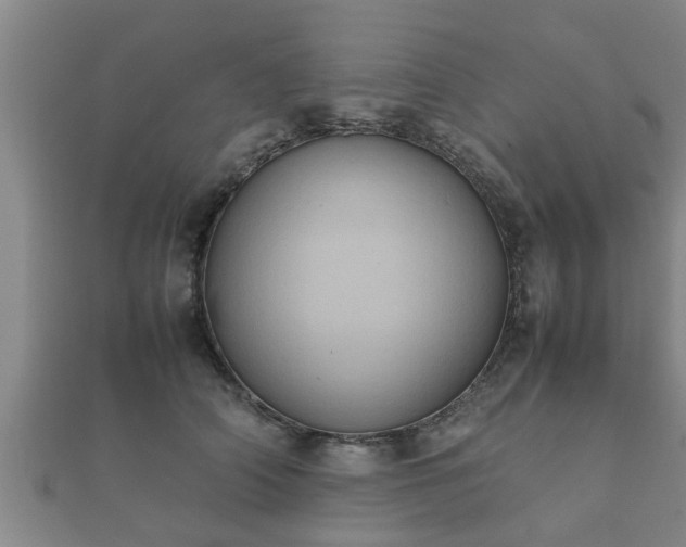 X0000112400706200908211116