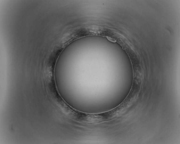 X0000112400707200908211116