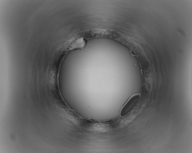 X0000112400708200908211116