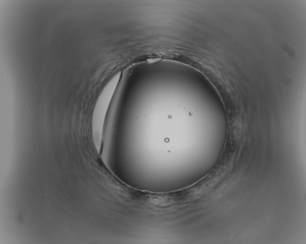 X0000112400709200908211116
