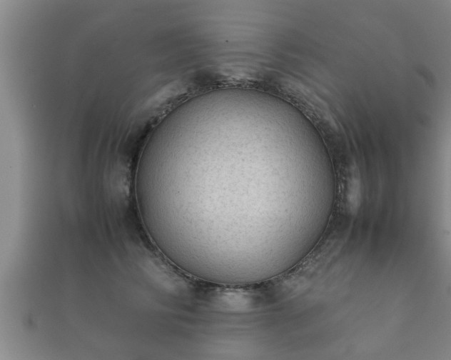X0000112400710200908211116