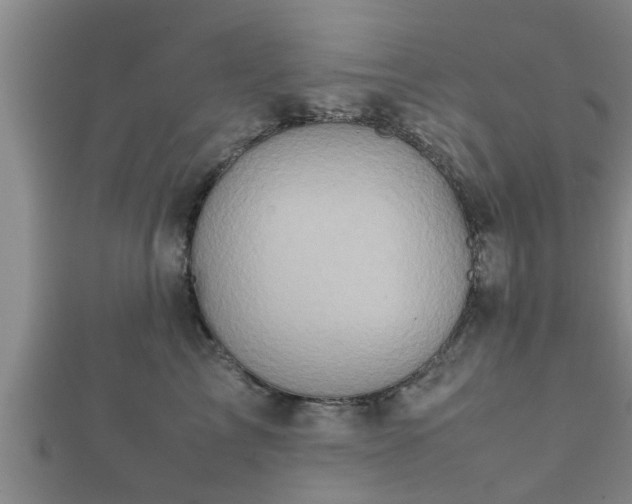 X0000112400713200908211115