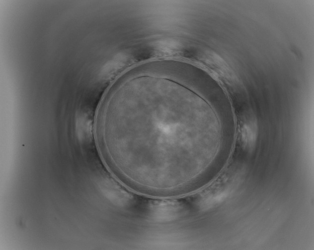 X0000112400716200908211115