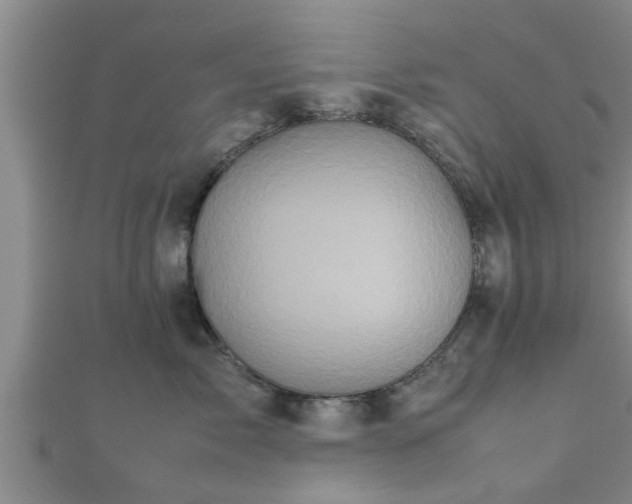 X0000112400717200908211115