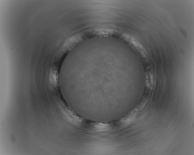 X0000112400718200908211115