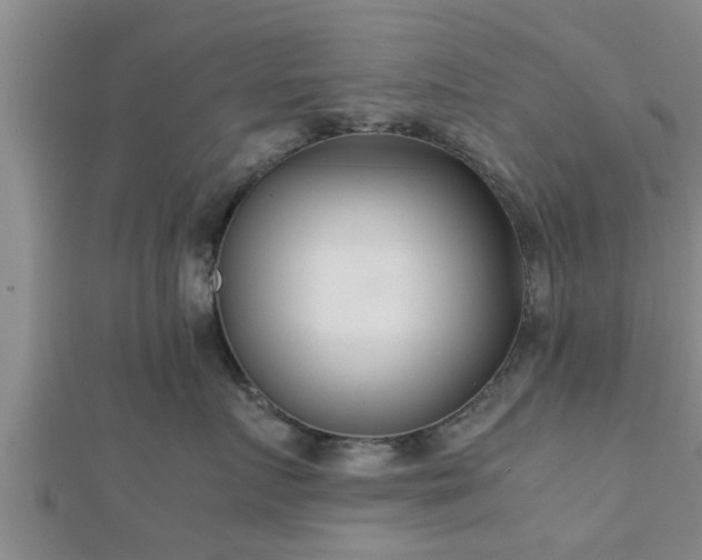 X0000112400719200908211115