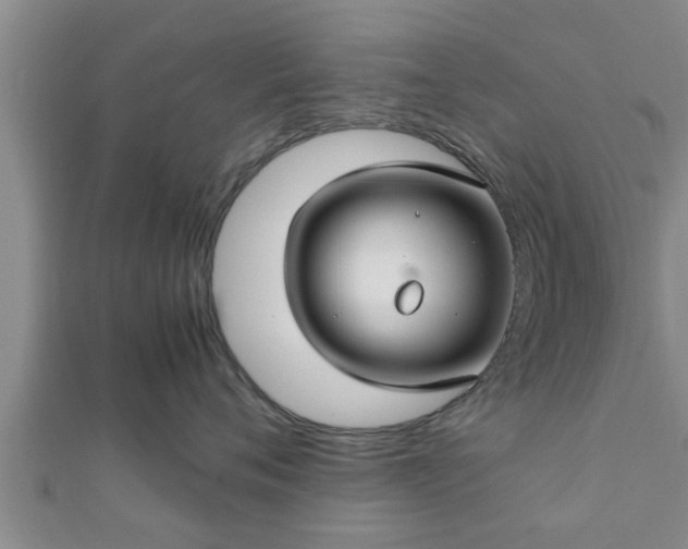 X0000112400720200908211115