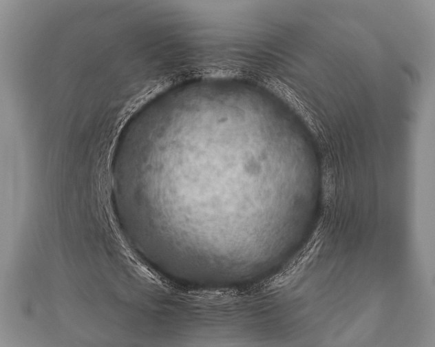 X0000112400721200908211114