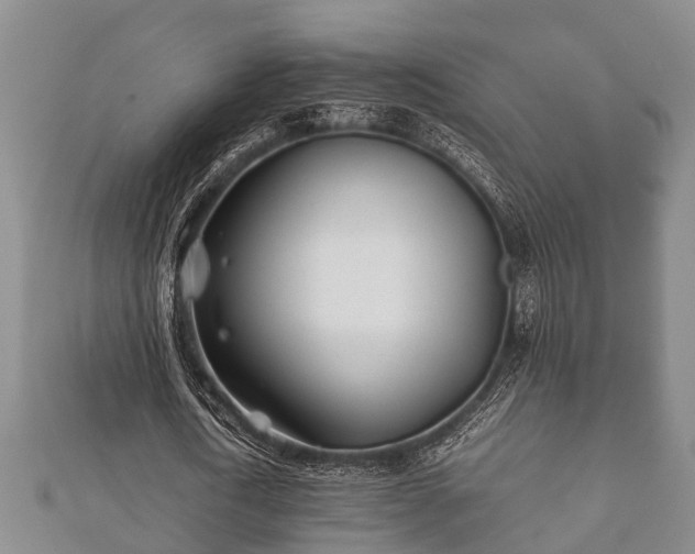X0000112400722200908211114