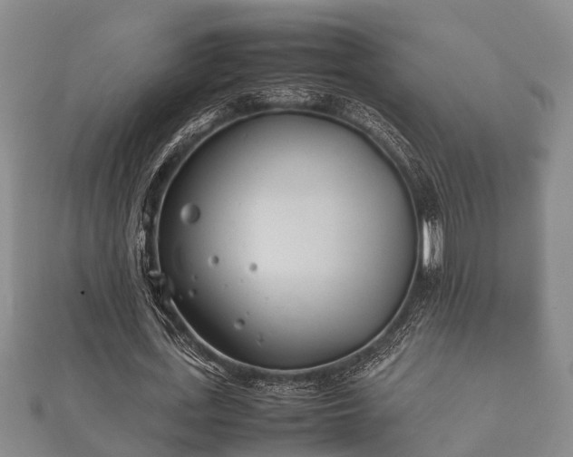 X0000112400723200908211114