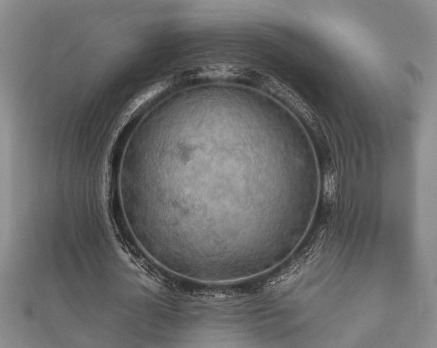 X0000112400724200908211114