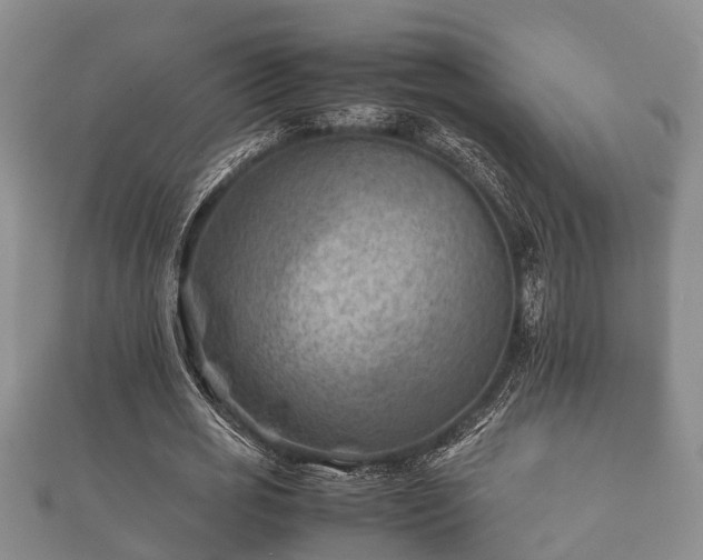 X0000112400725200908211115