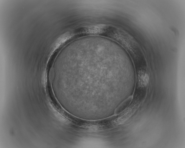 X0000112400726200908211115