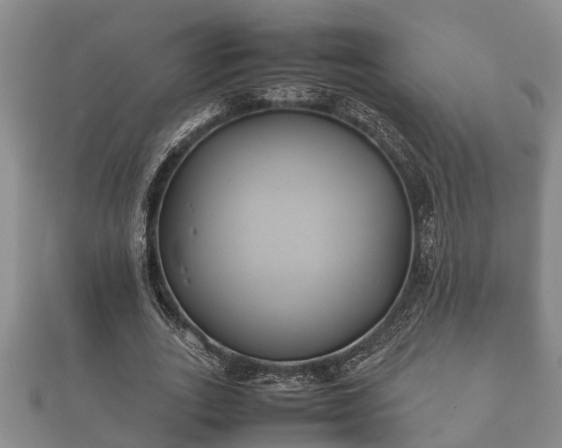 X0000112400727200908211115