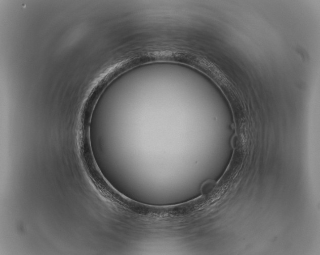 X0000112400728200908211115