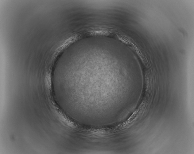 X0000112400729200908211115