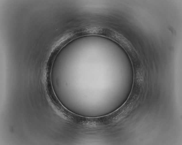 X0000112400730200908211115
