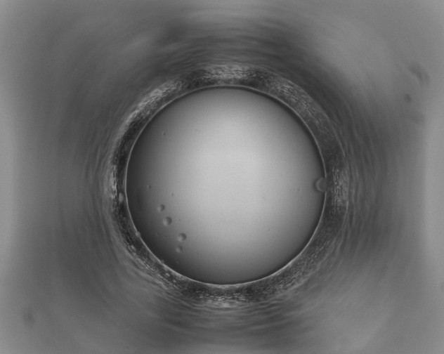 X0000112400731200908211115