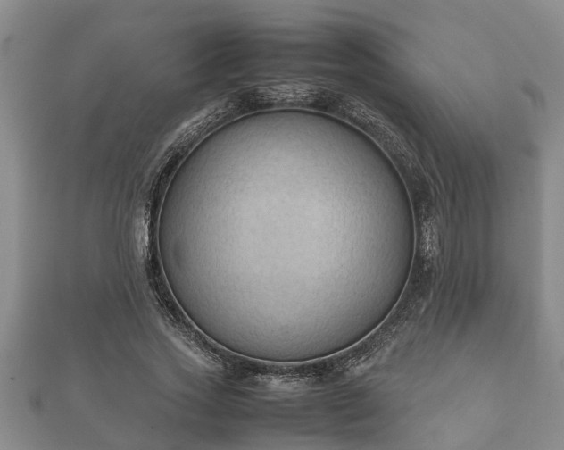 X0000112400733200908211115