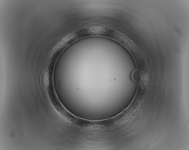 X0000112400734200908211115
