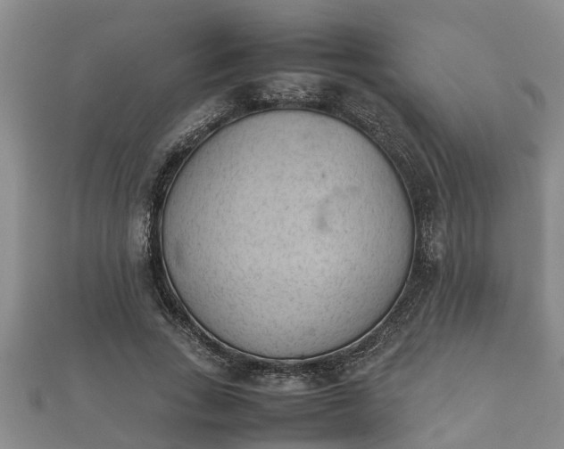 X0000112400735200908211115