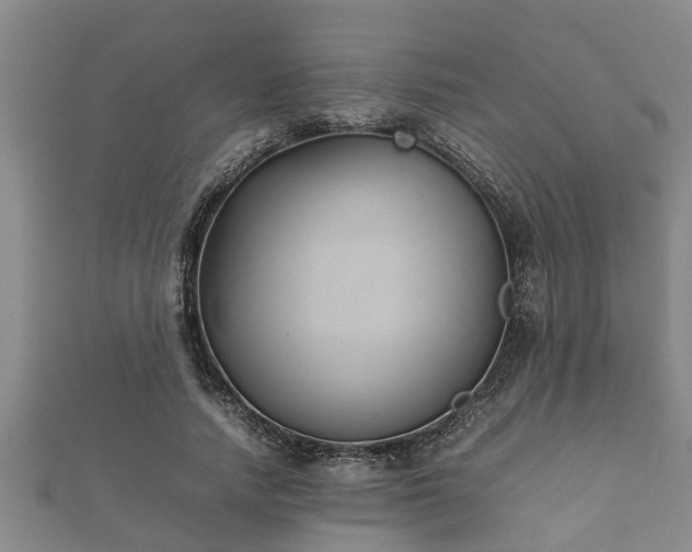 X0000112400738200908211115