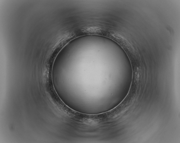 X0000112400739200908211115
