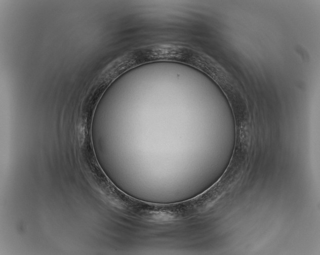 X0000112400741200908211115