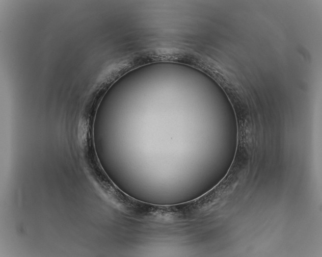 X0000112400742200908211115