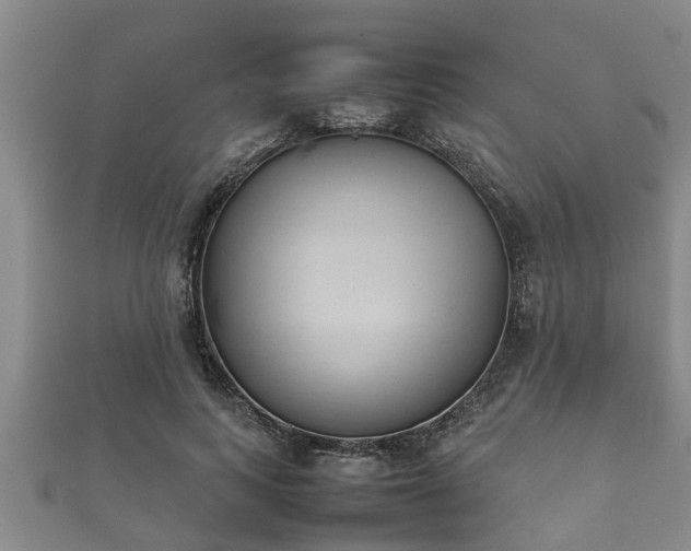 X0000112400743200908211115