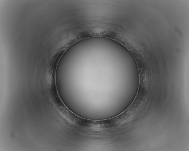 X0000112400746200908211115