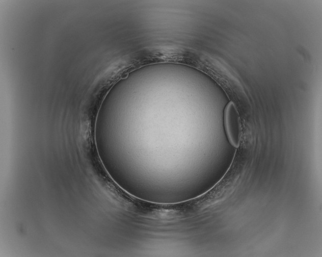 X0000112400748200908211115