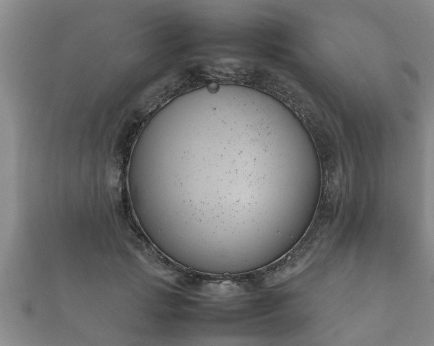 X0000112400749200908211115