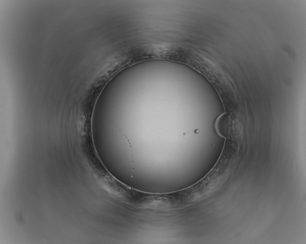 X0000112400750200908211115