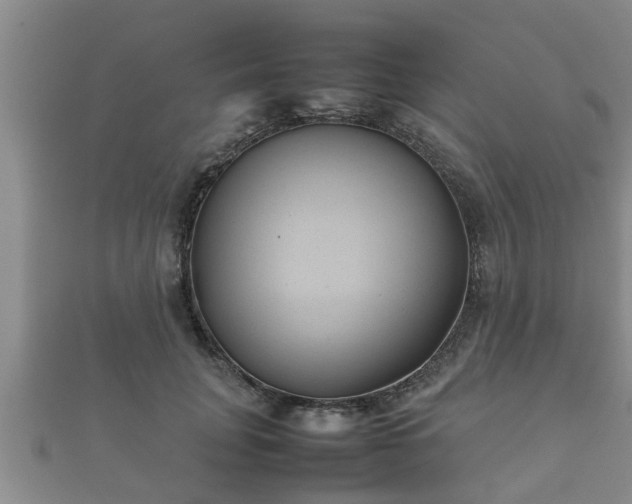 X0000112400751200908211115