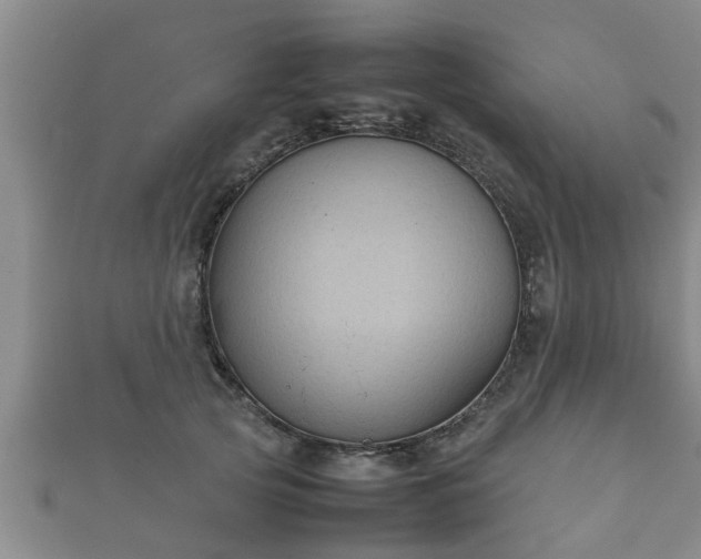 X0000112400753200908211115