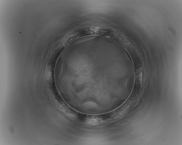 X0000112400754200908211115