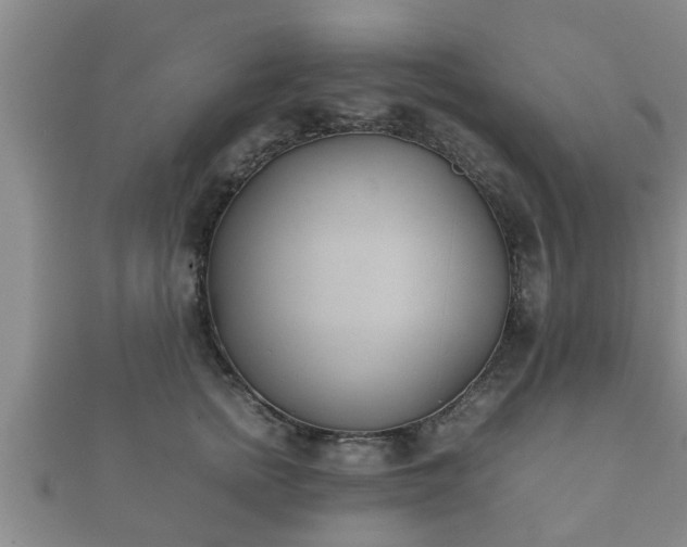 X0000112400758200908211115