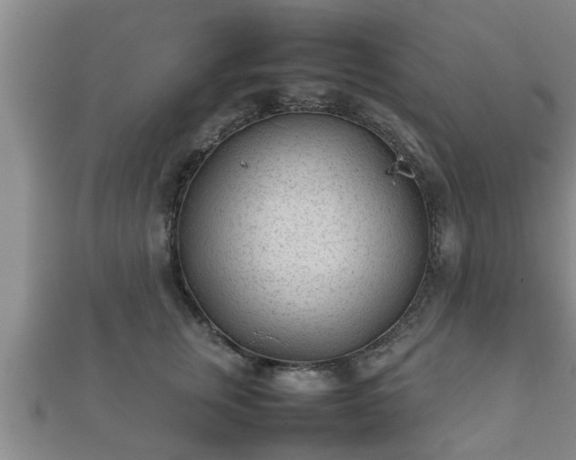 X0000112400759200908211115
